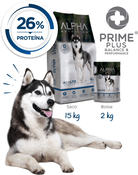 Alpha nutrition adulto