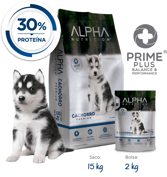 Alpha nutrition cachorro